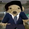 Avatar of Bombito