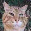 Avatar of 12306x2P