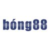 Avatar of bong8899training