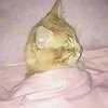 Avatar of Memes1123
