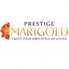 Avatar of prestigemarigoldin