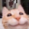 Avatar of ToastExists