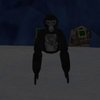 Avatar of Bot.Bot