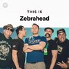 Avatar of zebraheadmerch