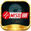 Avatar of miso88