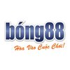Avatar of Bong88