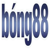 Avatar of Bong88