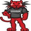 Avatar of WildcatPowerGen