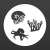 Avatar of Senckenberg Ocean Species Alliance