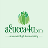 Avatar of succulent kit gift