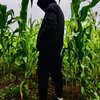 Avatar of Rex.Hussein.SA