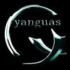 Avatar of 3D Yyanguas