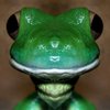 Avatar of DarkCordial