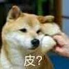 Avatar of s3569129
