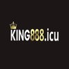 Avatar of king88