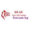 Avatar of Đá Gà Trực Tiếp Thomo Hôm Nay
