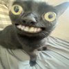 Avatar of kropkajhkughyfyhdf