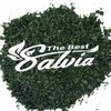 Avatar of How To Buy Salvia Online