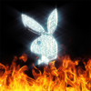 Avatar of yxungsauce2