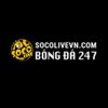 Avatar of socolivevn.com