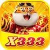 Avatar of X333