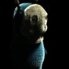 Avatar of SniffiepandaArt