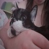 Avatar of CutieCatAria
