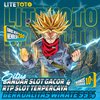 Avatar of litetoto_rtp