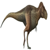 Avatar of whatfirebird