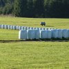 Avatar of Silage Plastic