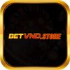 Avatar of betvndstore