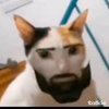 Avatar of Giga-cat