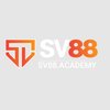Avatar of sv88