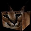 Avatar of floppa694209