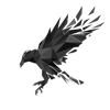Avatar of ArcticRaven_