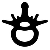 Avatar of Mammal Morphology Lab