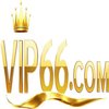 Avatar of vip66trade
