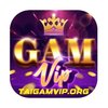 Avatar of Gamvip