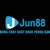 Avatar of jun88babycom