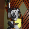 Avatar of NotgamerTM