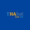 Avatar of Thabet