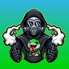 Avatar of Crush Paint YT
