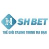 Avatar of SHBET