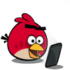 Avatar of AngryFlockinBird