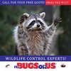 Avatar of It’s Bugs Or Us Pest Control - Fort Worth