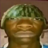 Avatar of Cinocancino