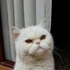 Avatar of pepm83