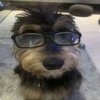 Avatar of neudrawss