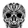 Avatar of driely.dds