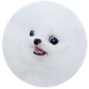 Avatar of JC_Art